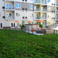 Green Roof Systems