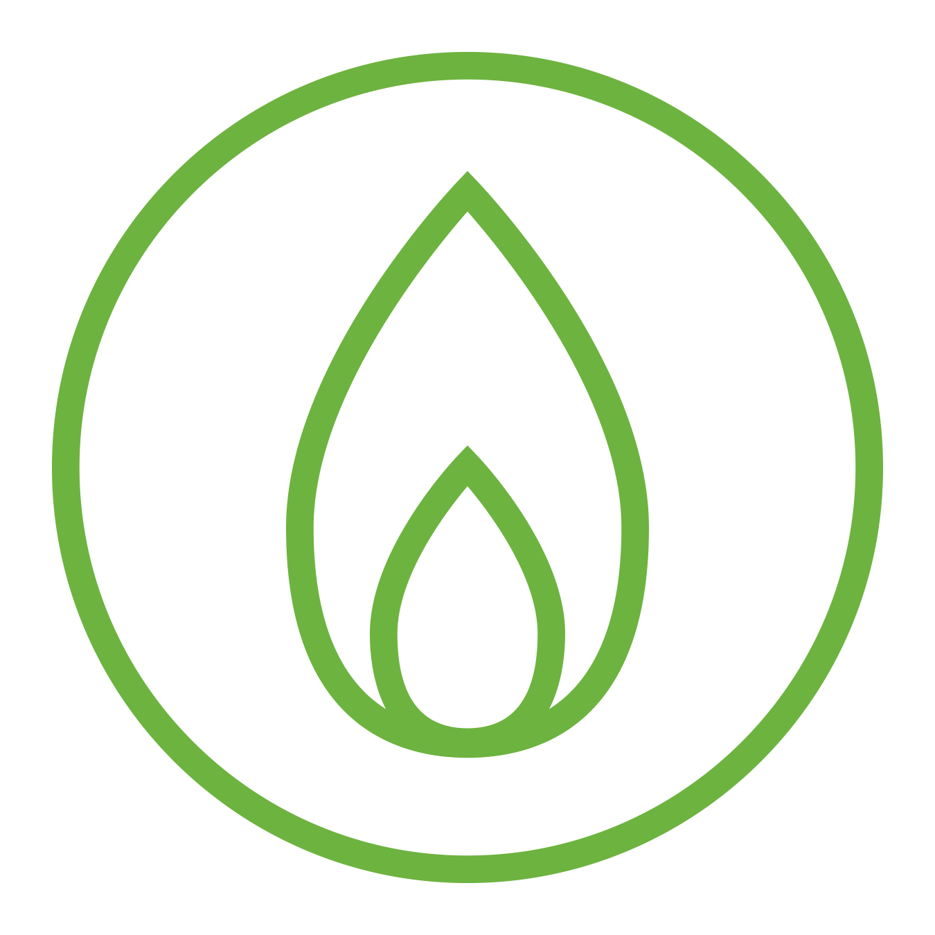 A green outline of a flame inside a green circle on a white background, representing natural gas or energy. | GenFlex